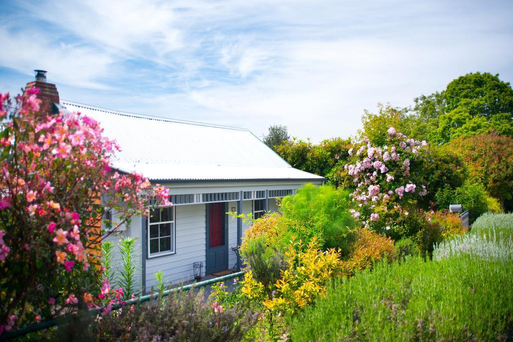 Fortuna Cottage Daylesford Exterior photo